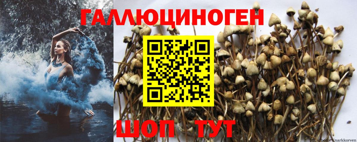 Кыштым  Галлюциногенные грибы Psilocybe  Галлюциногенные грибы Psilocybine cubensis  где купить наркотик  Вход с VPN 